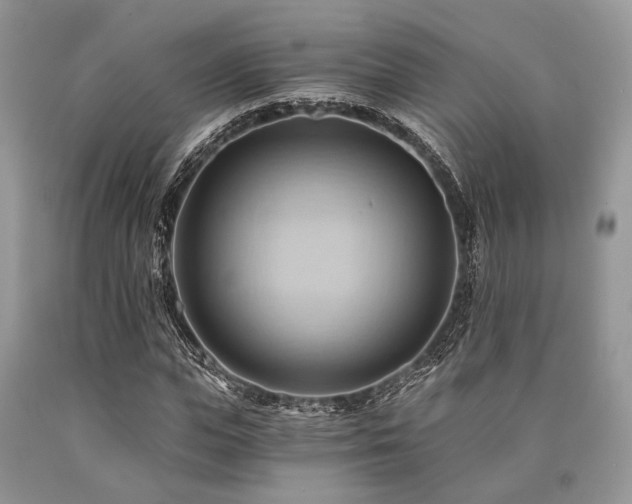X0000090780823200707201522