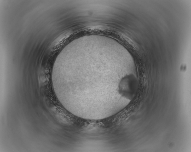 X0000090780824200707201522