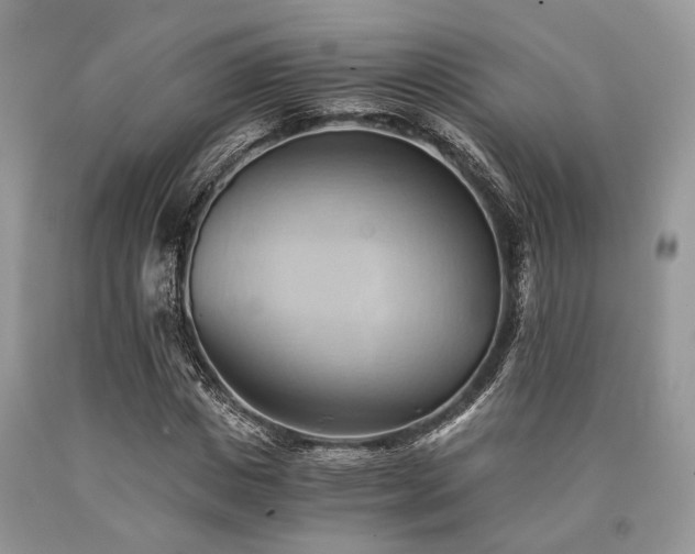 X0000090780825200707201522
