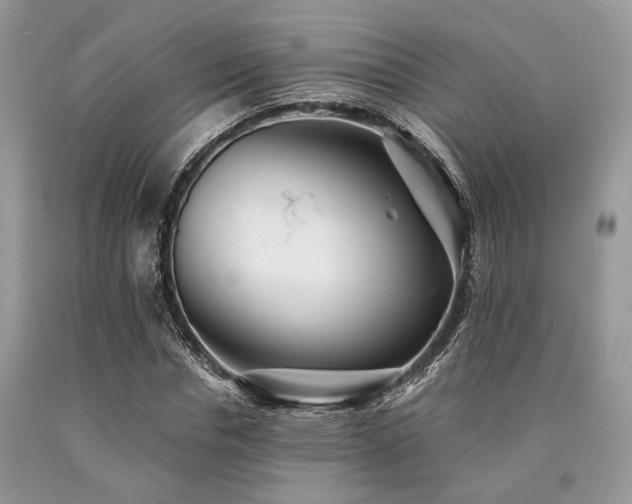 X0000090780826200707201522