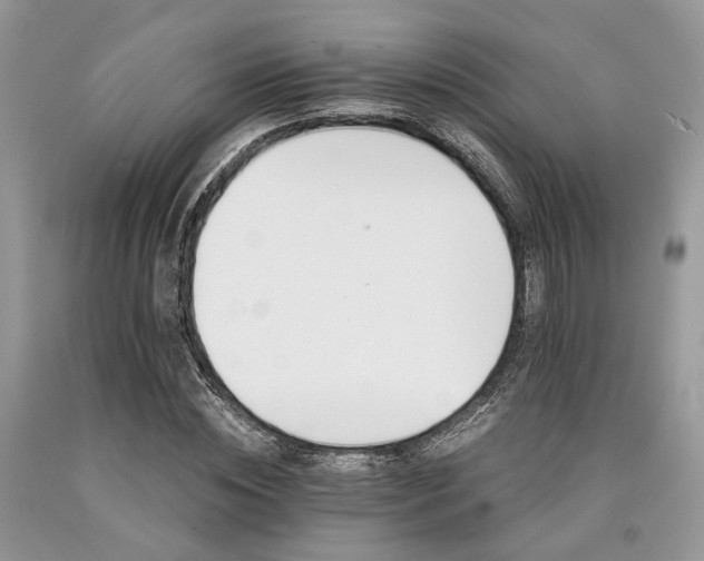 X0000090780828200707201522