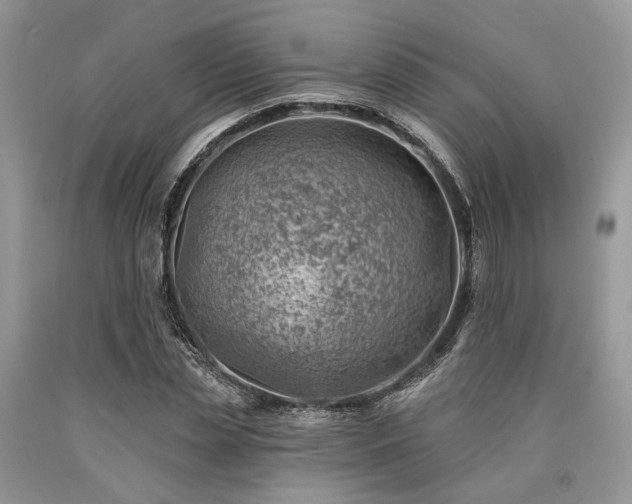 X0000090780829200707201522