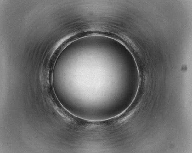 X0000090780830200707201522