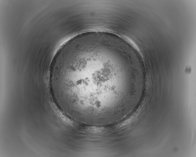 X0000090780831200707201522
