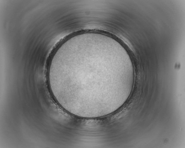 X0000090780832200707201522