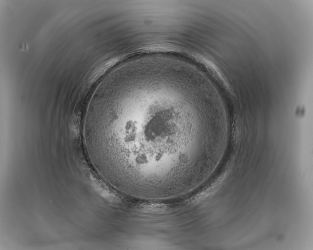 X0000090780833200707201522