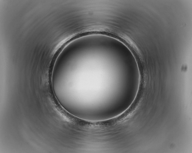 X0000090780834200707201522