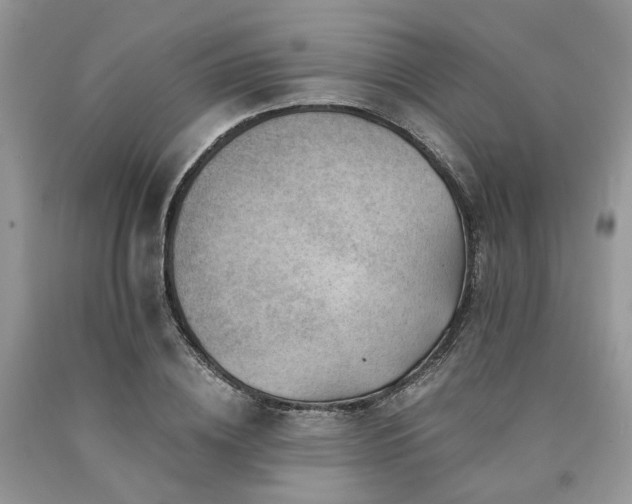 X0000090780836200707201522