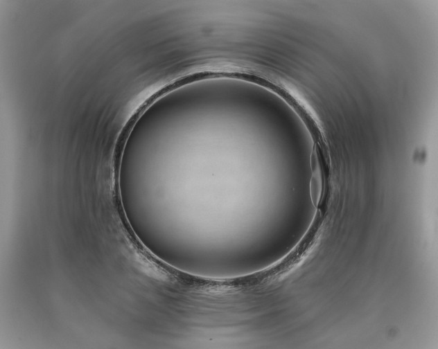 X0000090780837200707201522