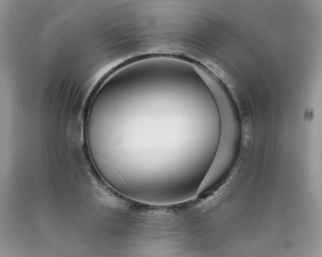 X0000090780838200707201522