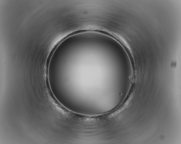X0000090780839200707201522