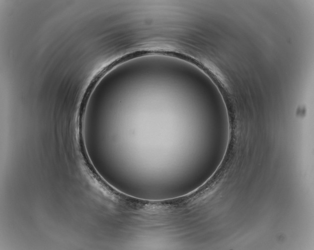 X0000090780840200707201522