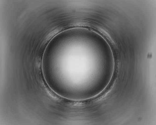 X0000090780841200707201522