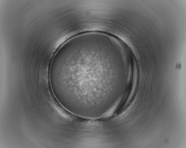 X0000090780842200707201522