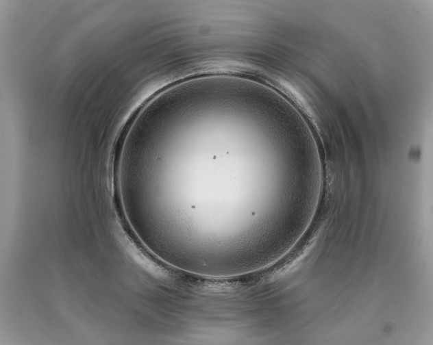 X0000090780843200707201522