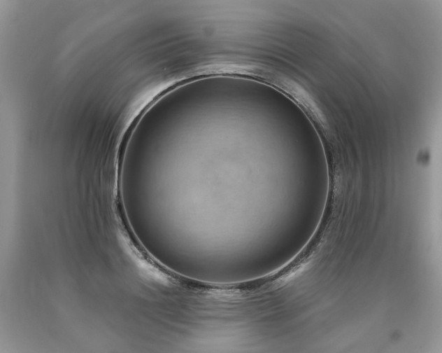 X0000090780844200707201522