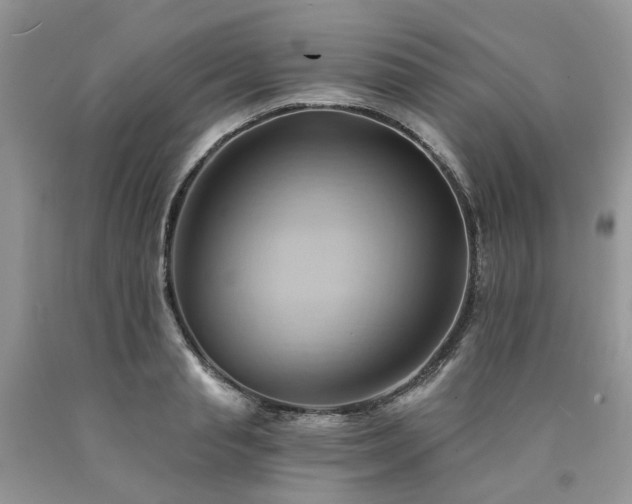 X0000090780845200707201522
