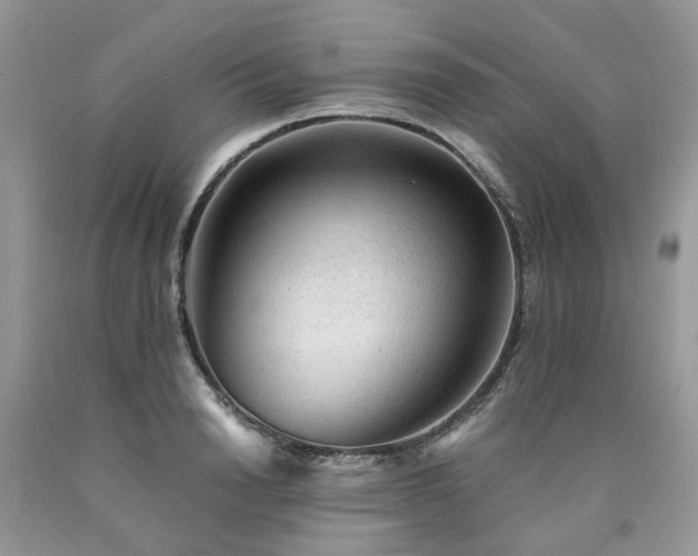 X0000090780846200707201522
