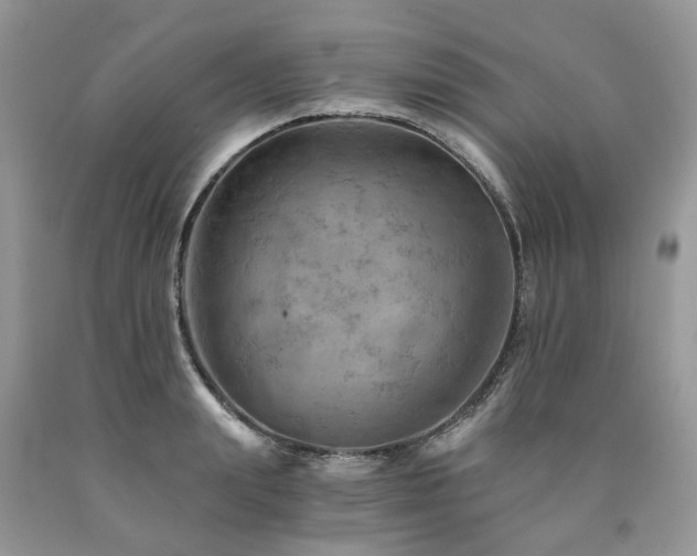 X0000090780847200707201522