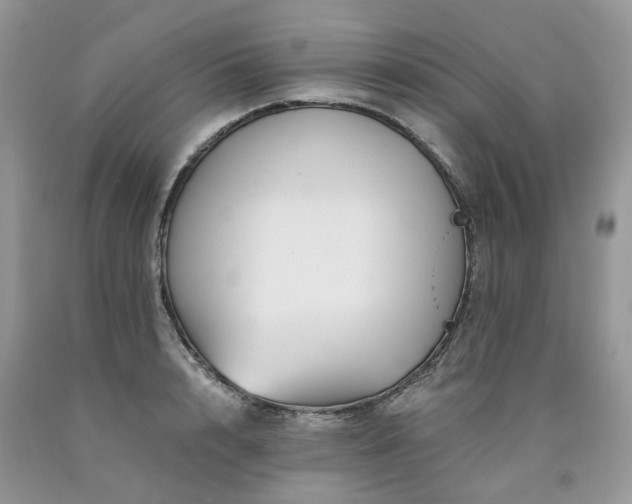 X0000090780848200707201522