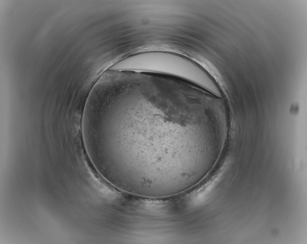 X0000090780849200707201522
