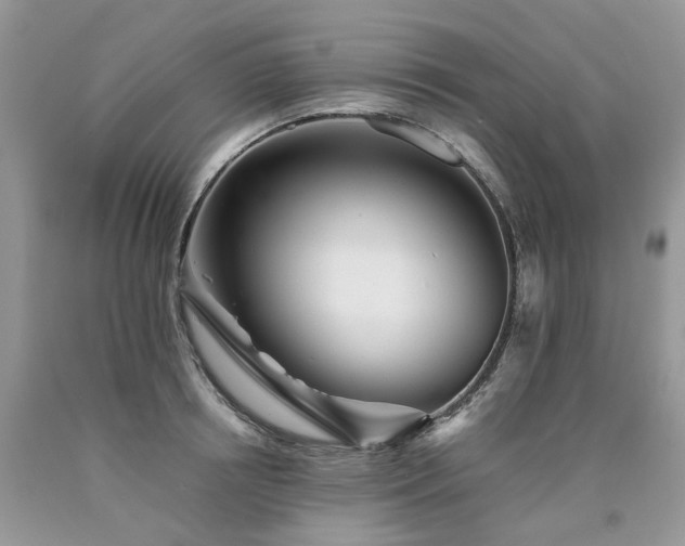 X0000090780850200707201522