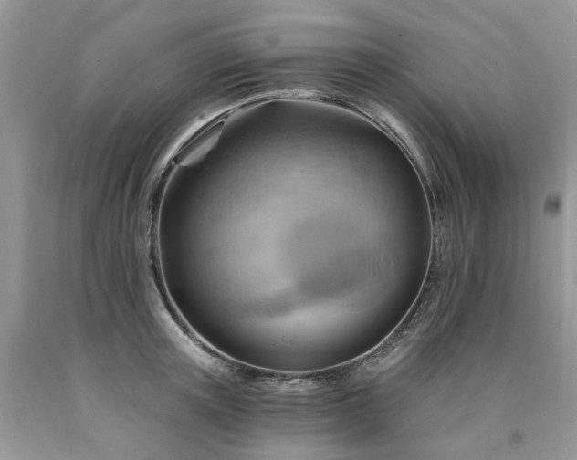 X0000090780851200707201522