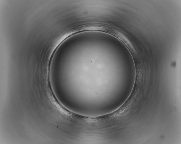 X0000090780852200707201522