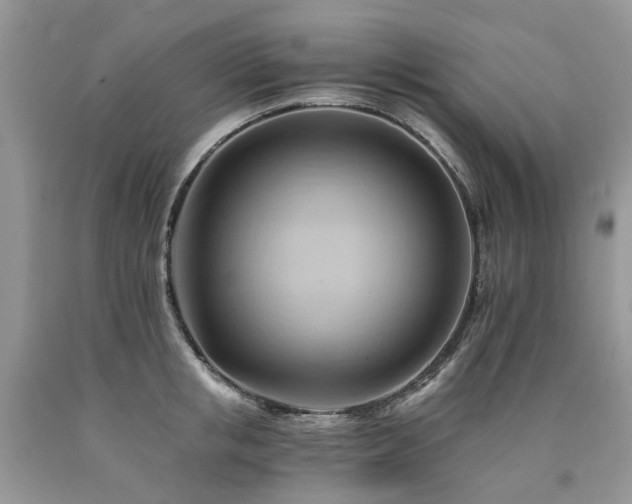 X0000090780853200707201522