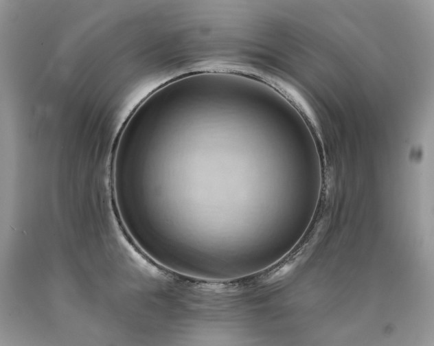 X0000090780855200707201522