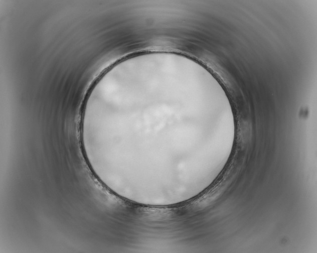 X0000090780856200707201522