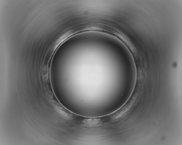 X0000090780858200707201522