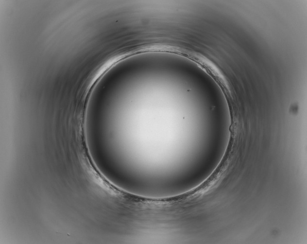 X0000090780860200707201522