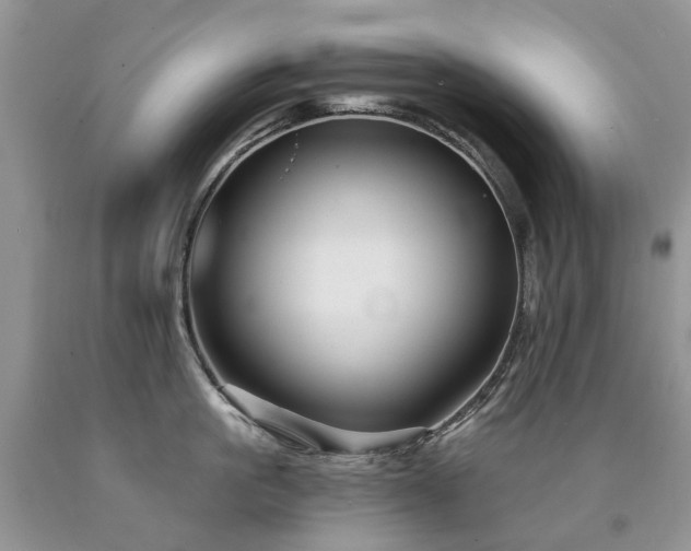 X0000090780861200707201522