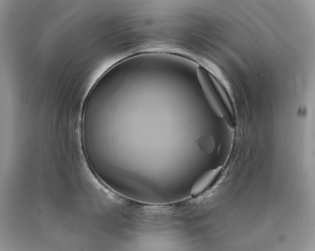 X0000090780863200707201522