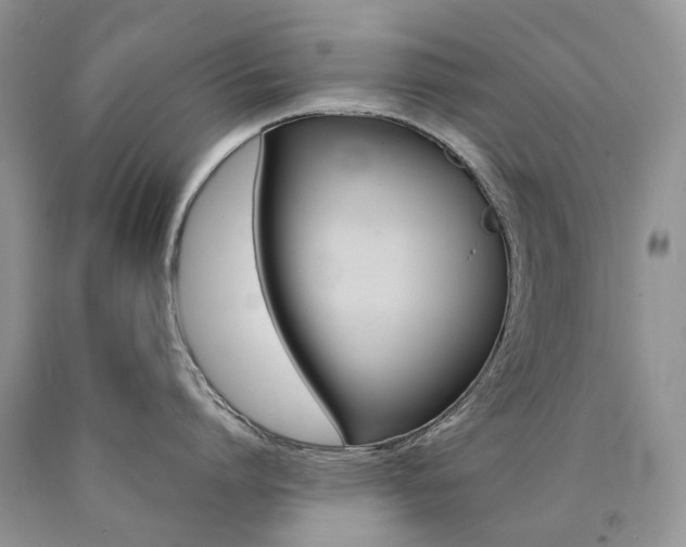 X0000090780864200707201522