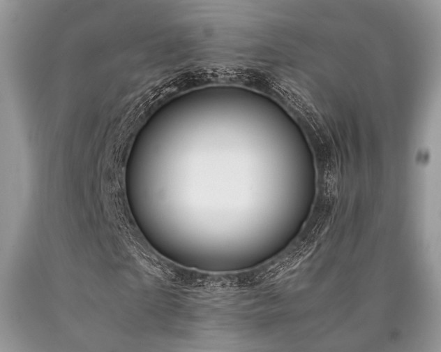 X0000090780865200707201521