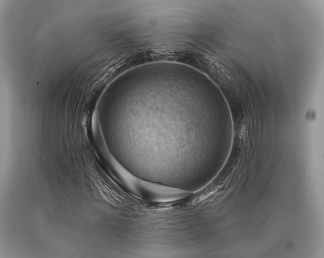 X0000090780868200707201521