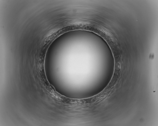 X0000090780869200707201521