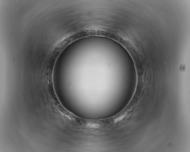 X0000090780870200707201521