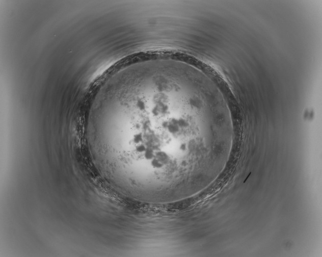X0000090780871200707201521