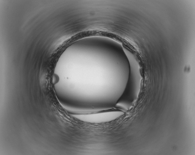 X0000090780872200707201521