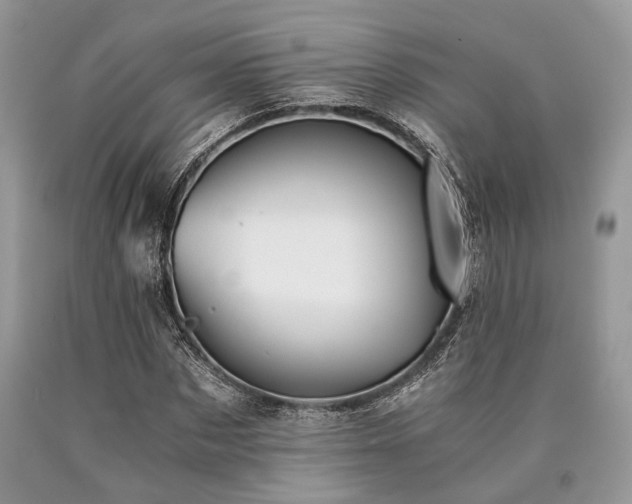 X0000090780873200707201521