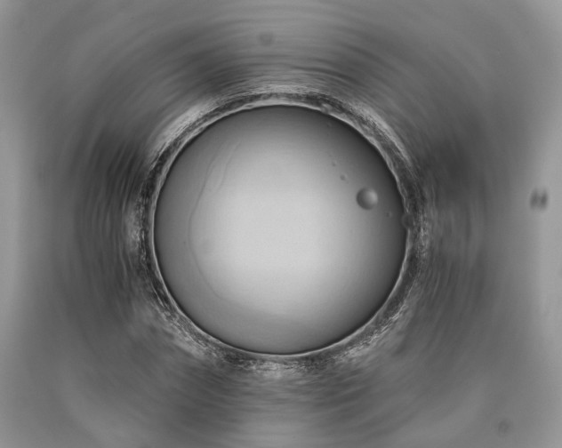 X0000090780874200707201521