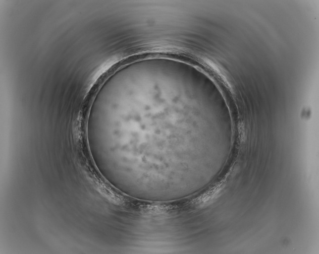 X0000090780875200707201521