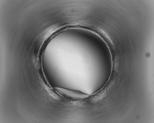 X0000090780876200707201521