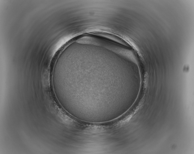 X0000090780877200707201521