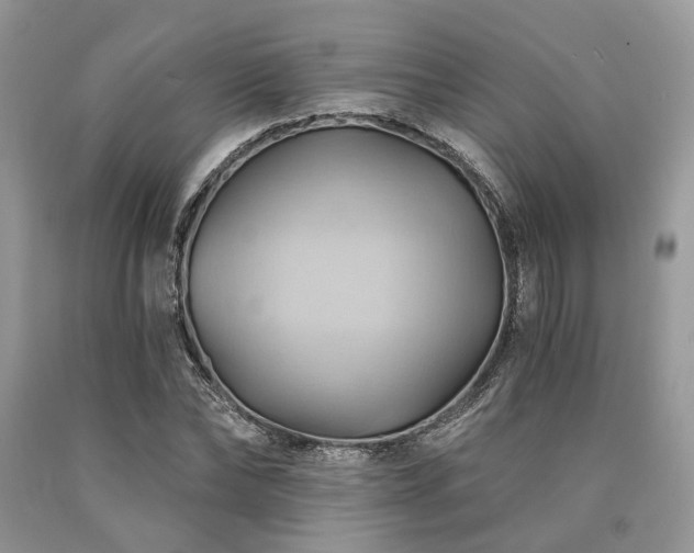 X0000090780878200707201521