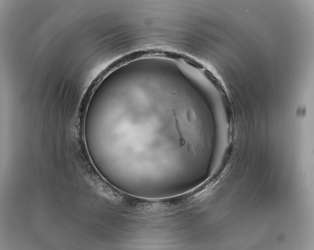 X0000090780879200707201521