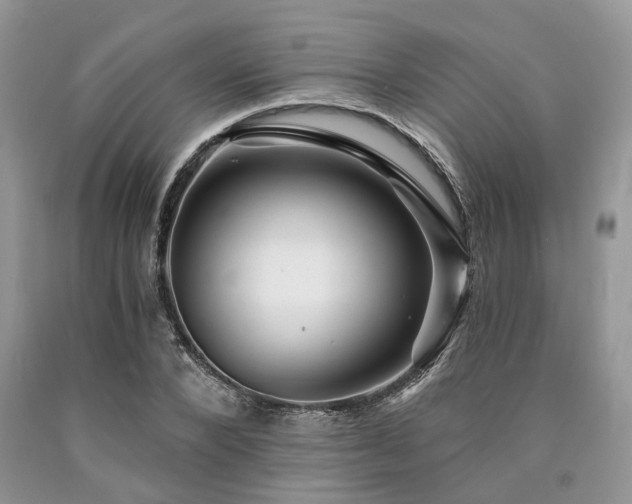 X0000090780880200707201521